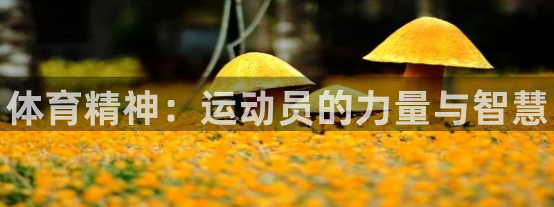 J9官网下载招商电话:体育精神:运动员的力量与智慧