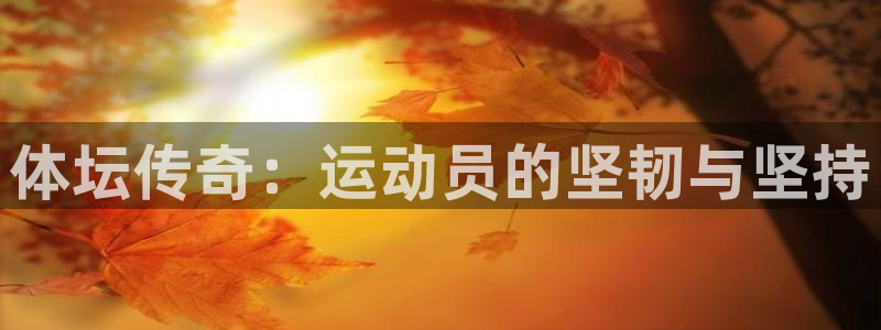 J9官网下载平台注册:体坛传奇:运动员的坚韧与坚持