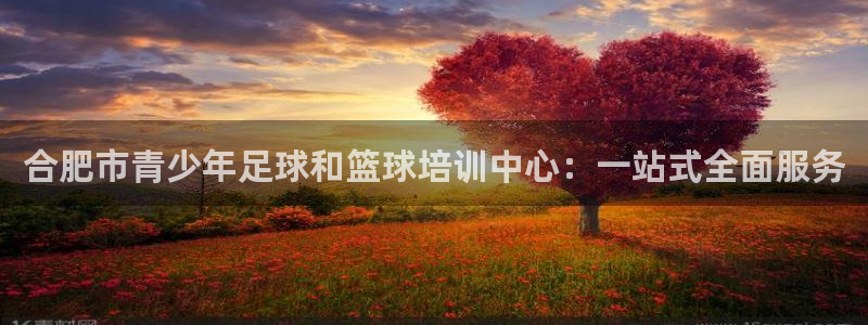 注册J9官方正版app:合肥市青少年足球和篮球培训中心:一站