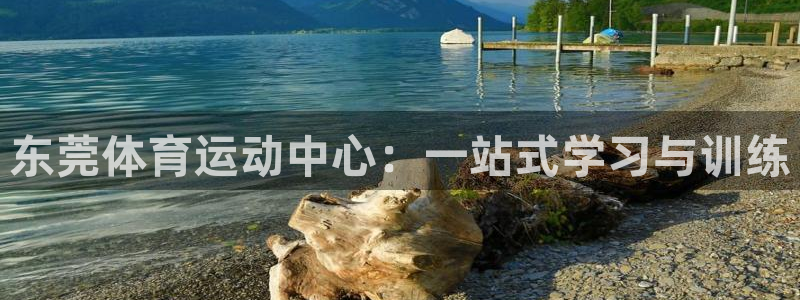 J9官网下载娱乐:东莞体育运动中心:一站式学习与训练